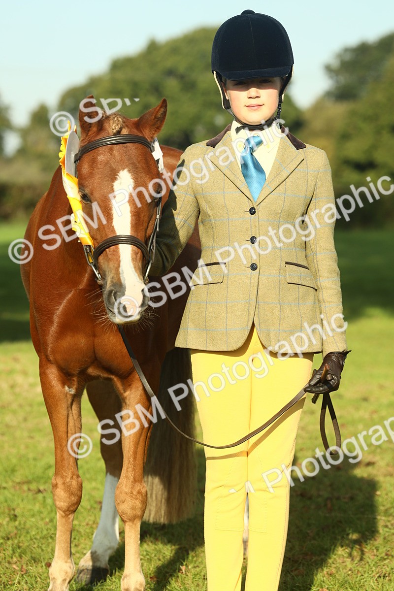 SBM_58497 - S37 - Starters In Hand Showing