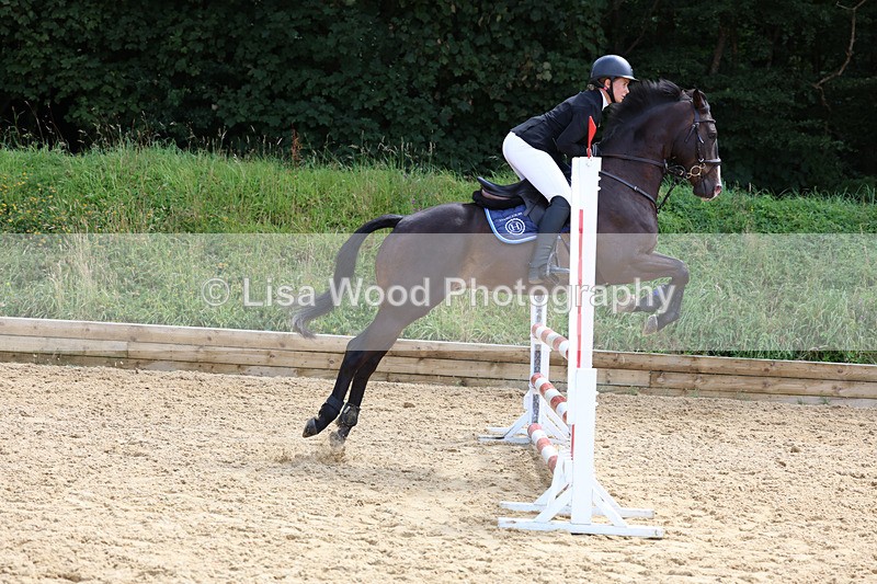 3E7A0244 - Class 9: Senior British Novice/90cm open