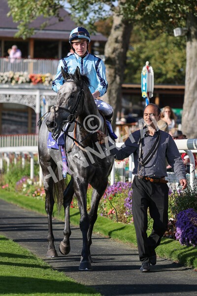 yr08102021r3-39 - Race 3 3.15pm Download The Casumo App Today Handicap