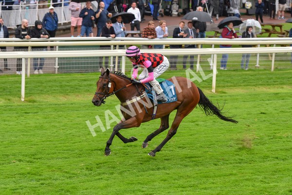 140723-Race 4-Andaleep-8259 - Race 4 3.50pm Azets Handicap