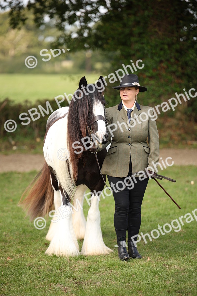 SBM_62295 - S55 - Traditional Cob In Hand