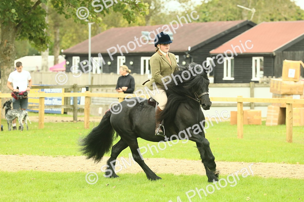 SBM_71938 - S60 - Mountain & Moorland Ridden Large Breeds