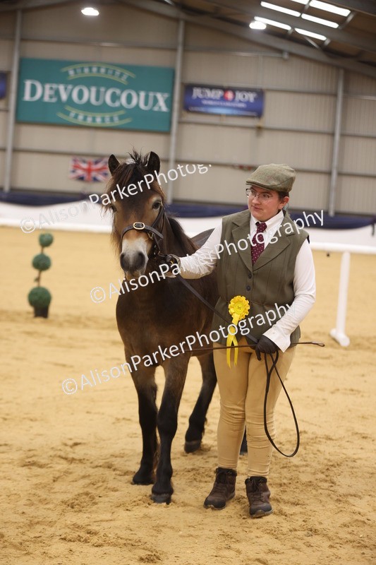 20260913-1079 - Class 109 - Bred On Exmoor In Hand