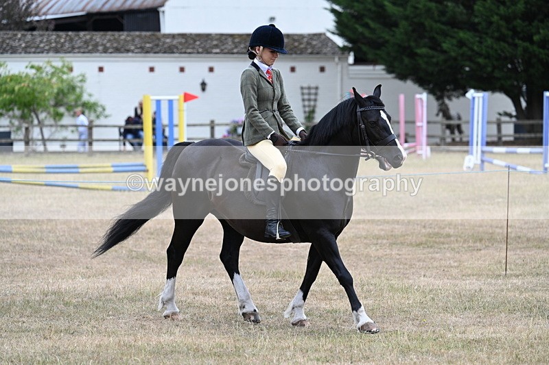 WJ7_0496 - Class 6 Ridden Mountain and Moorland