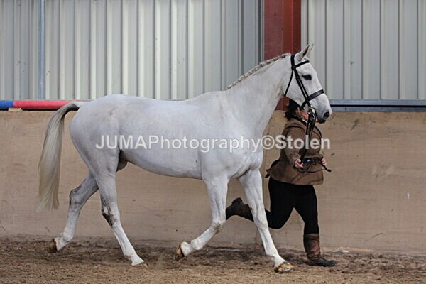 SIAL9645 - Indoor Classes