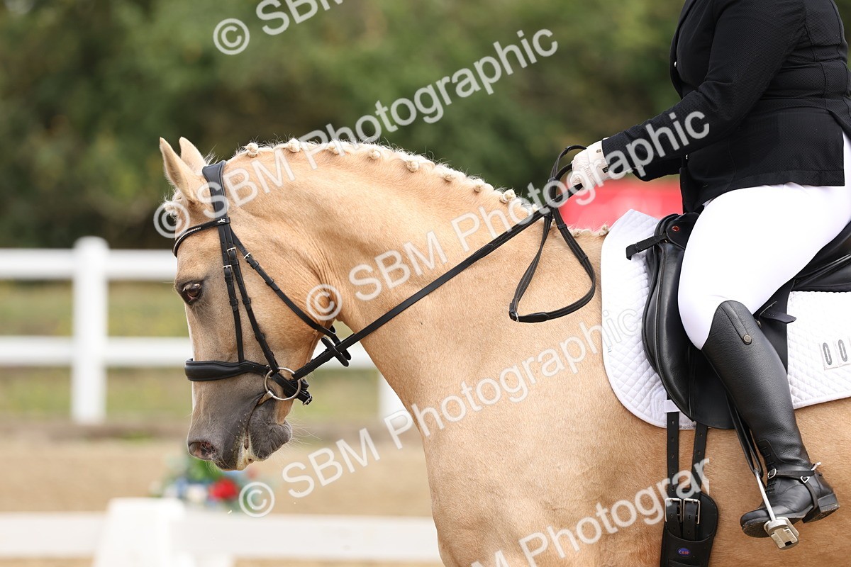 SBM_005817 - Class 6 - Novice 6 - 10.26-11.29