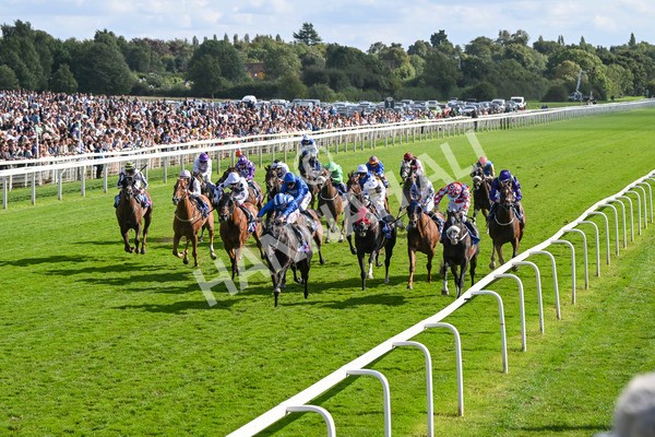 240824-Race 5-Elmonjed-1742 - Race 5 4.10pm Sky Bet Constantine Handicap
