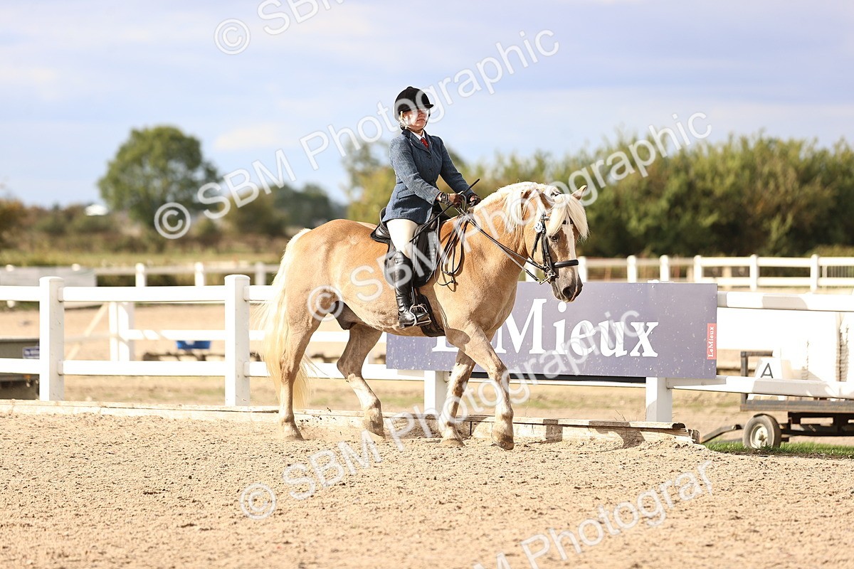 SBM_18151 - Class 423 - Equitation (best rider) Adult