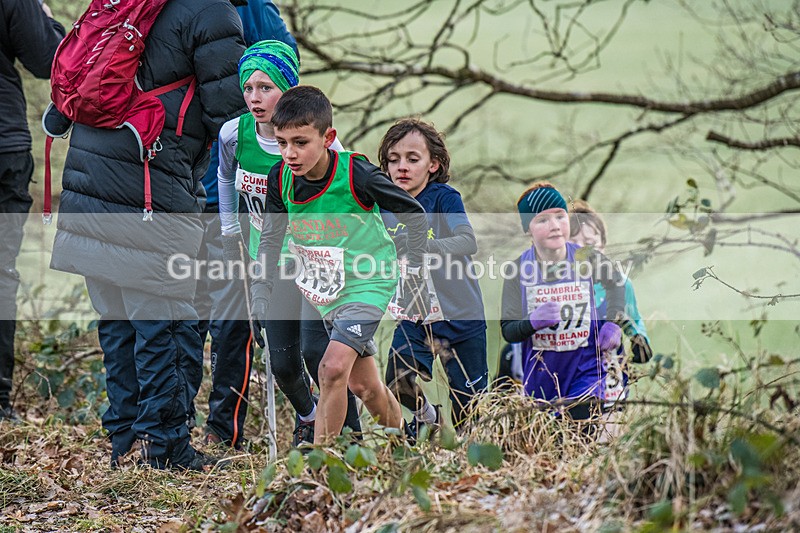 Cumbria XC-48 - Cumbria Cross Country Championships (Junior & Senior Races) Saturday 3rd January 2026