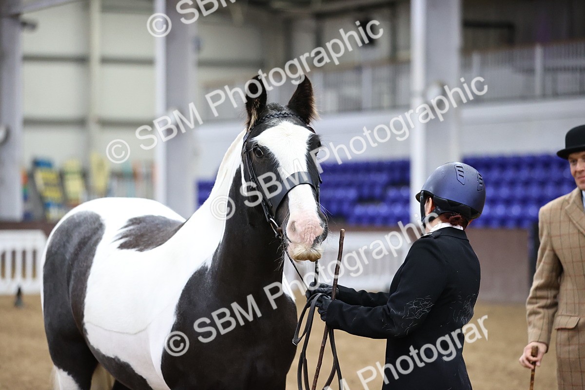 SBM_5281 - Class 32 - In Hand Cob Type