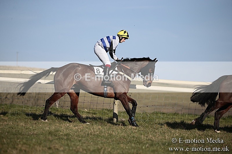 PtP 240218 445 - Vine & Craven Hunt Point-to-Point Barbury racecourse 24/02/18