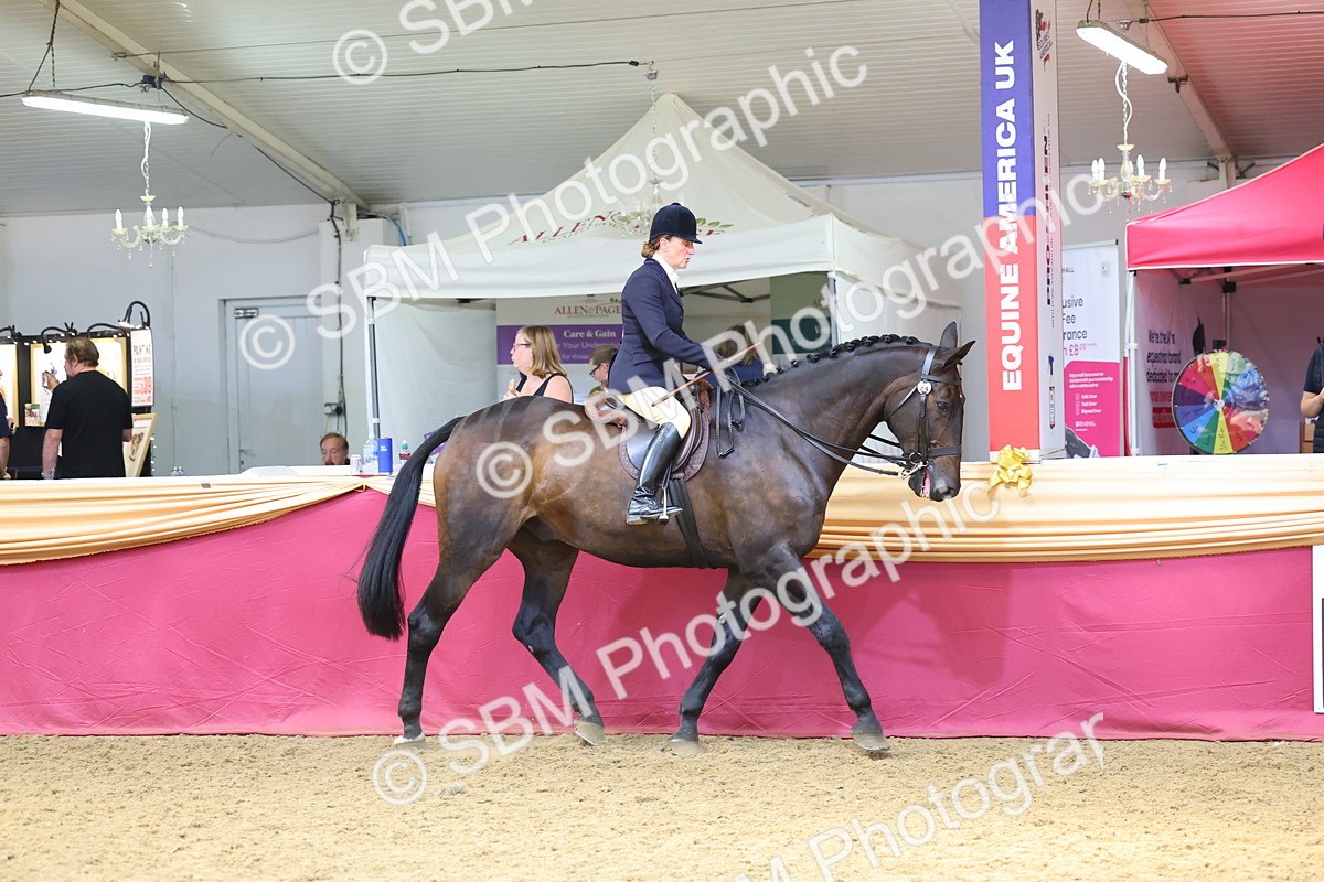 SBM_23885 - Class 905 - Supreme Final - Ridden Veteran