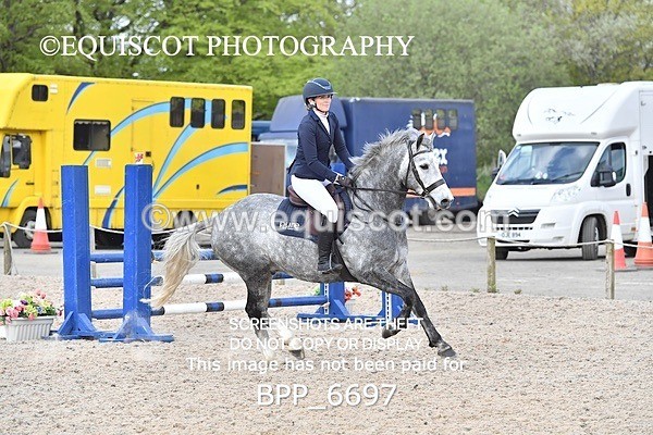 BPP_6697 - CLASS 2 FRI Club/ Unaffiliated 80cms Open