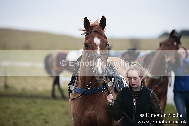 PtP 180218 308 - Combined Services Point-to-Point Larkhill 18/02/18