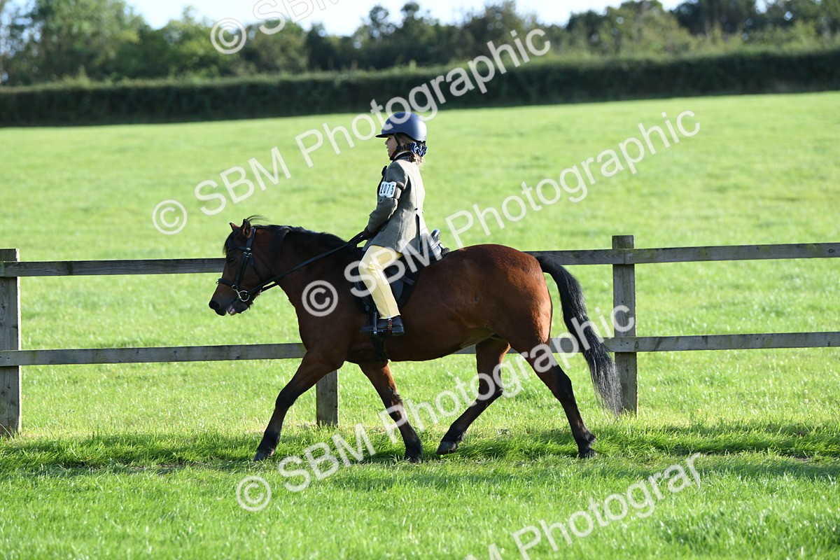 SBM_54034 - S23 - 1st Ridden Mountain & Moorland Pony