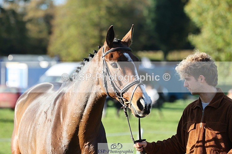 241027-092621-15295 - 327-Daniel.Hockey-JANE.CAMILLE