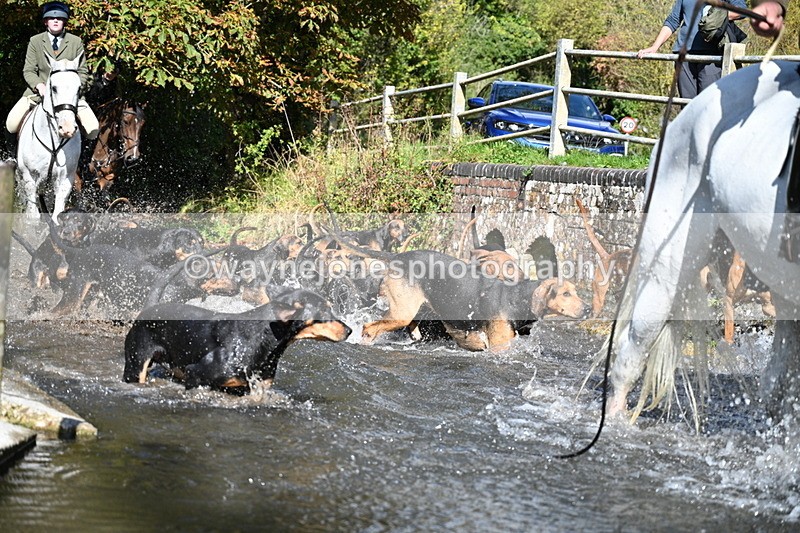 WJ7_5964 - Hounds Water Crossing