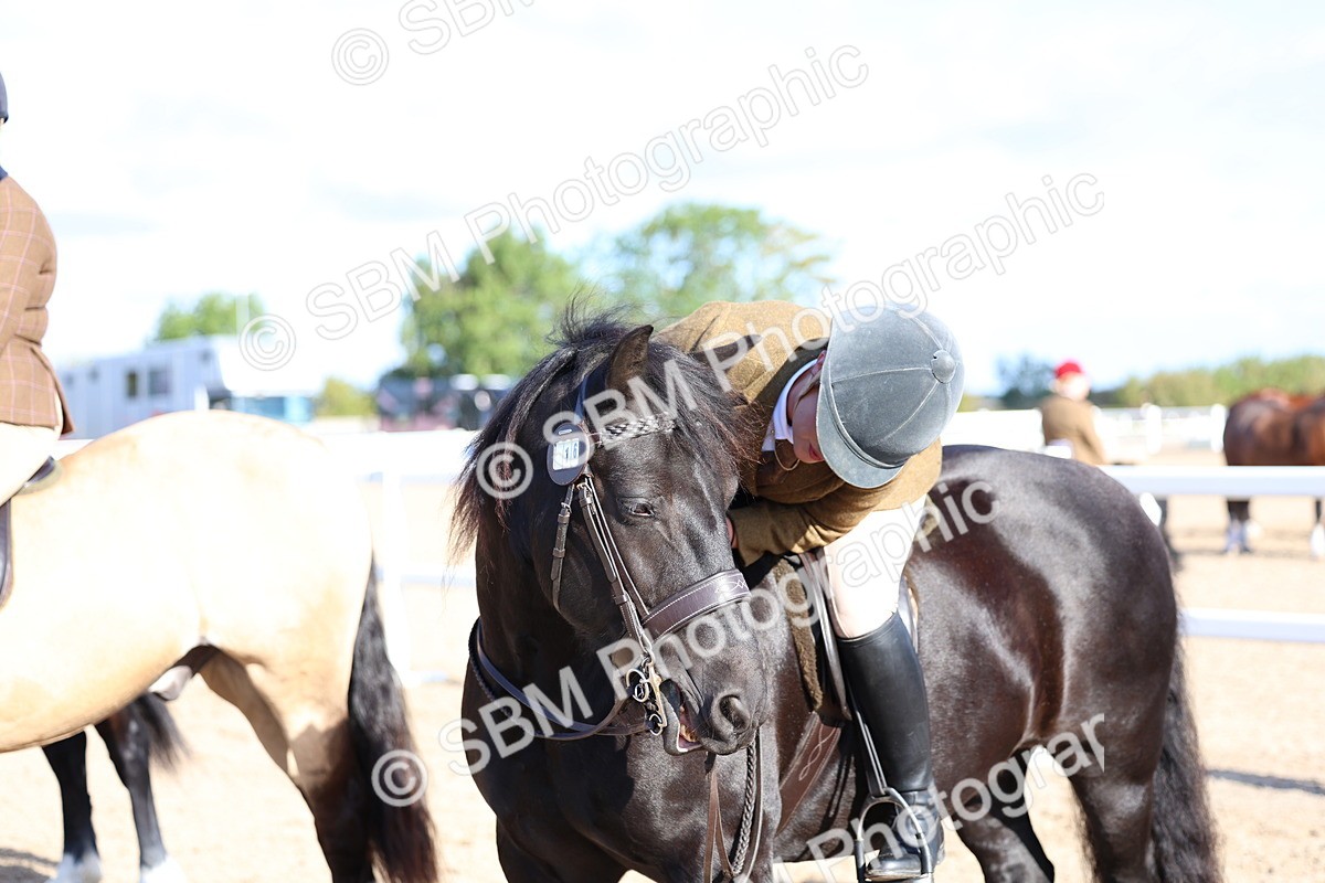 SBM_08904 - Class 302 - Ridden M&M - Large Breeds