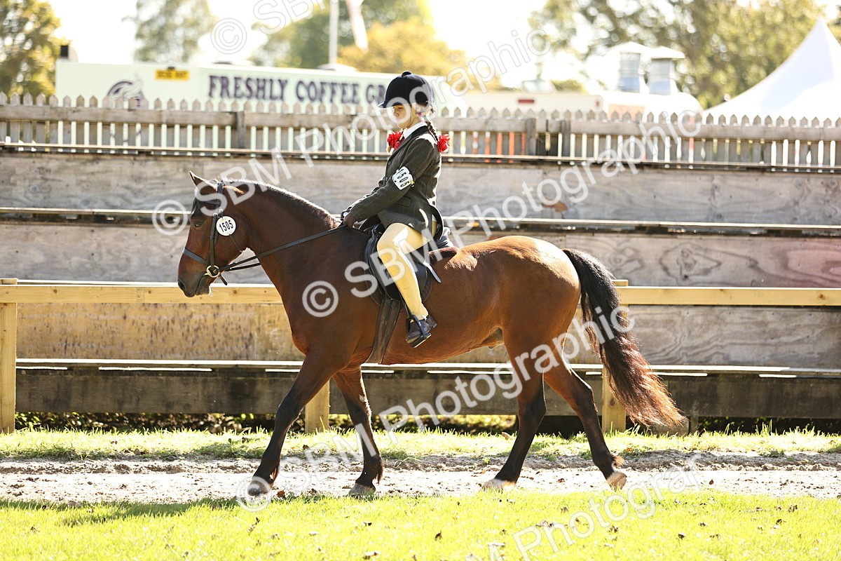 SBM_19092 - S3 - TSR Ridden Pony Showing