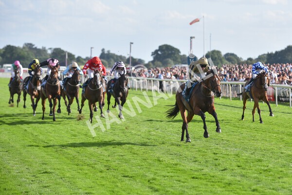 yr20082022r7-33 - Race 7 5.20pm Sky Bet Finale Stakes