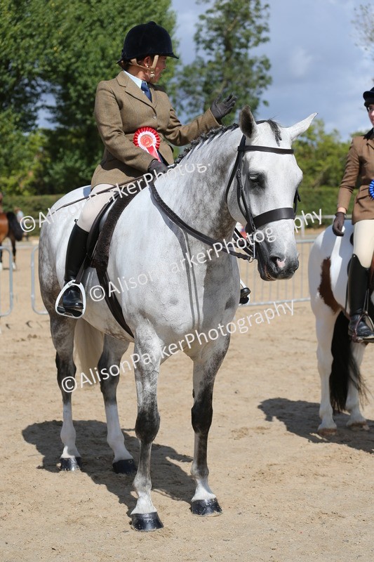 20260831-2801 - Class 16 and 17- Ridden Cob and Hunters