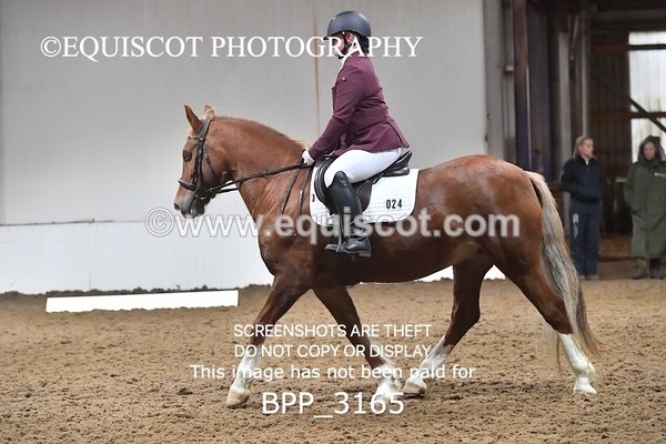 BPP_3165 - INTRO TEST 3