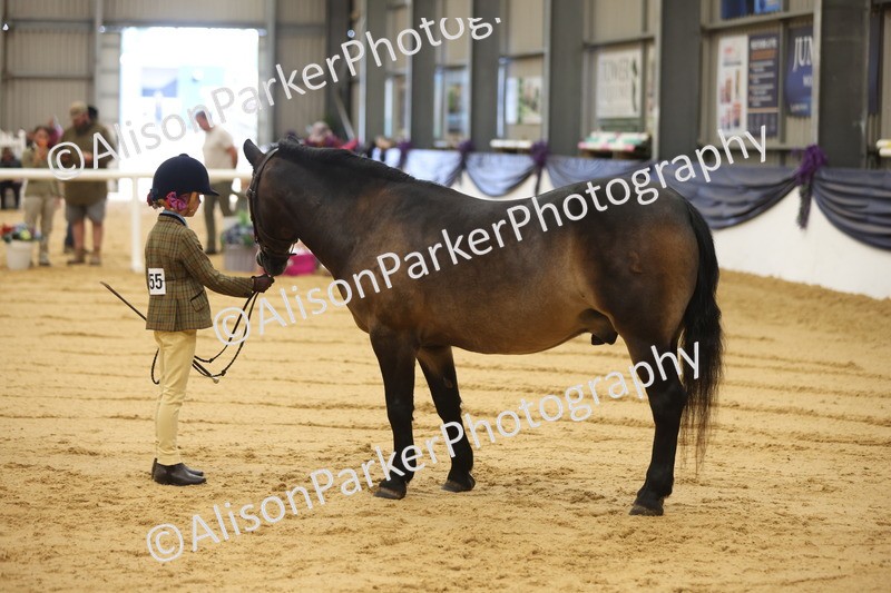 20260913-0107 - Class 121 - Young Handler 5-16