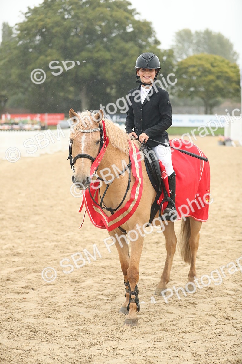 SBM_74291 - Supreme championship Junior Pony 70cm 75cm