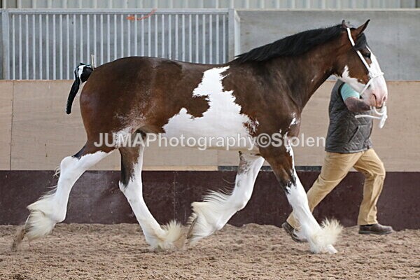 SIAL0225 - Indoor Classes