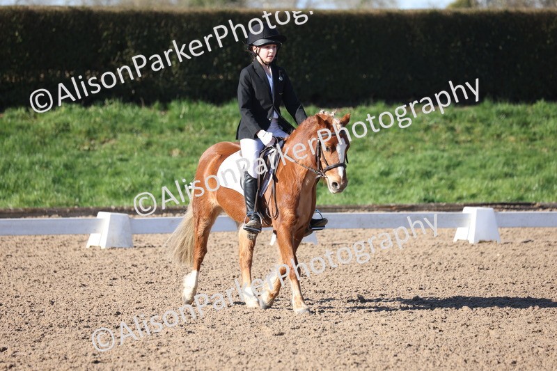 20260214-0270 - Class 3 - Prelim 2