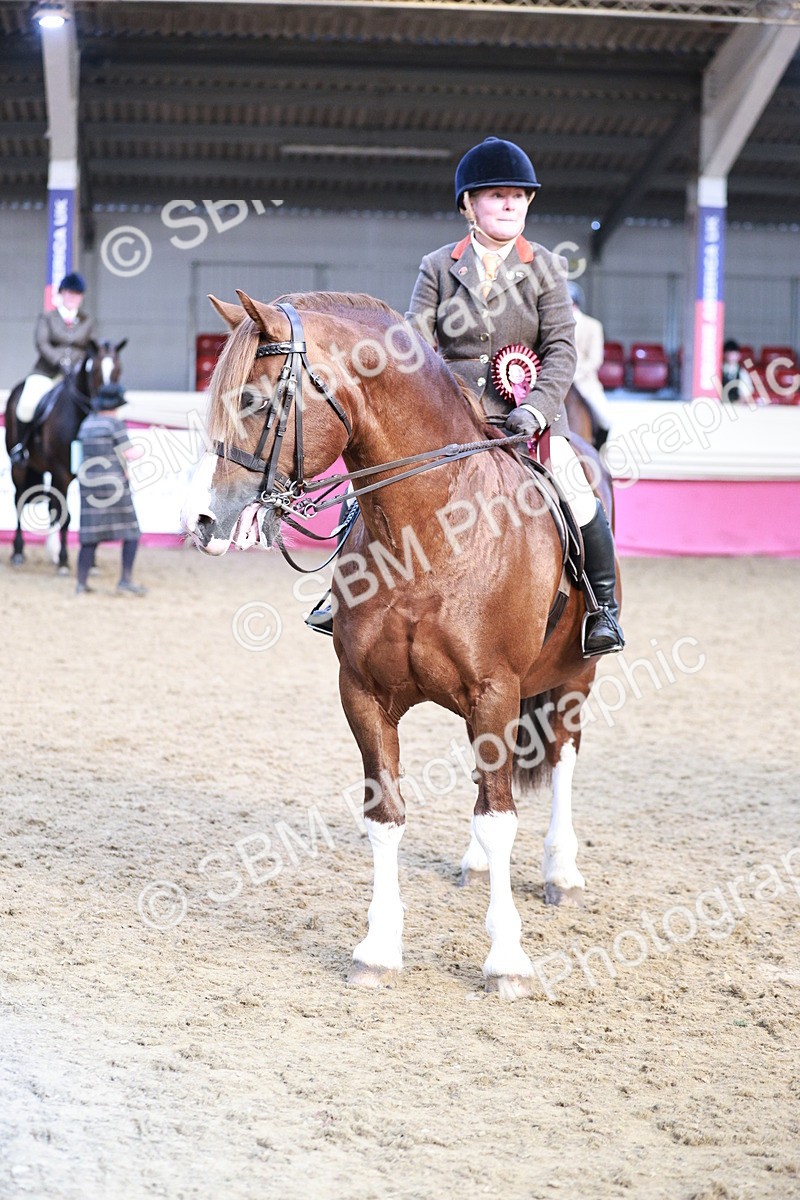 SBM_09119 - Class 12R - Regional Ridden Pre-Vet