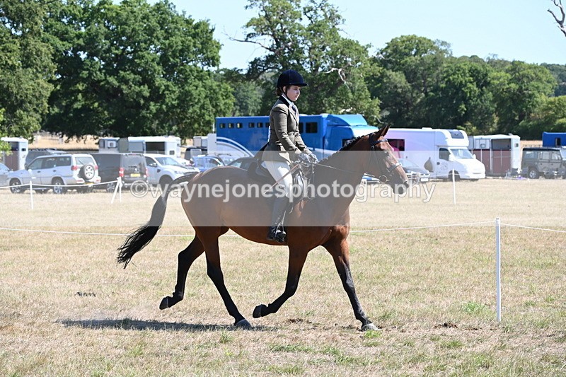 WJ6_8359 - Class 37a Best Loan Pony Ridden