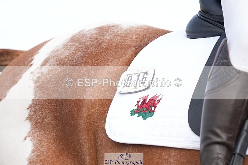 250906-131011-03540 - 016-Sarah.canningJohnny.Knoxville