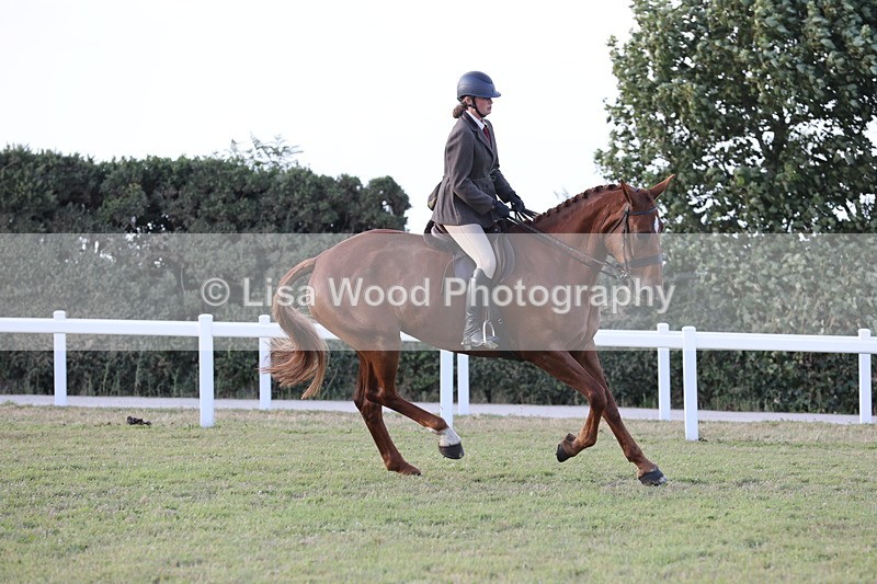 JPP_3762 - Working Hunter Championship