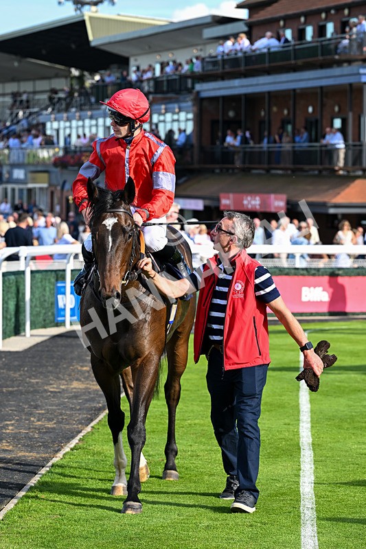 220926-Race 5-Go Victor-4426 - Race 5 3.50pm John Allinson 90th Birthday Handicap