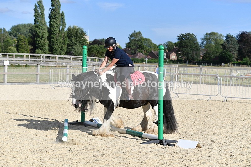 WJ5_5917 - Poles off the floor