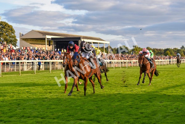 230923-Race 7-Two Brothers-7184 - Race 7 5.30pm Neil Atkinson's 60th Birthday Celebration Handicap
