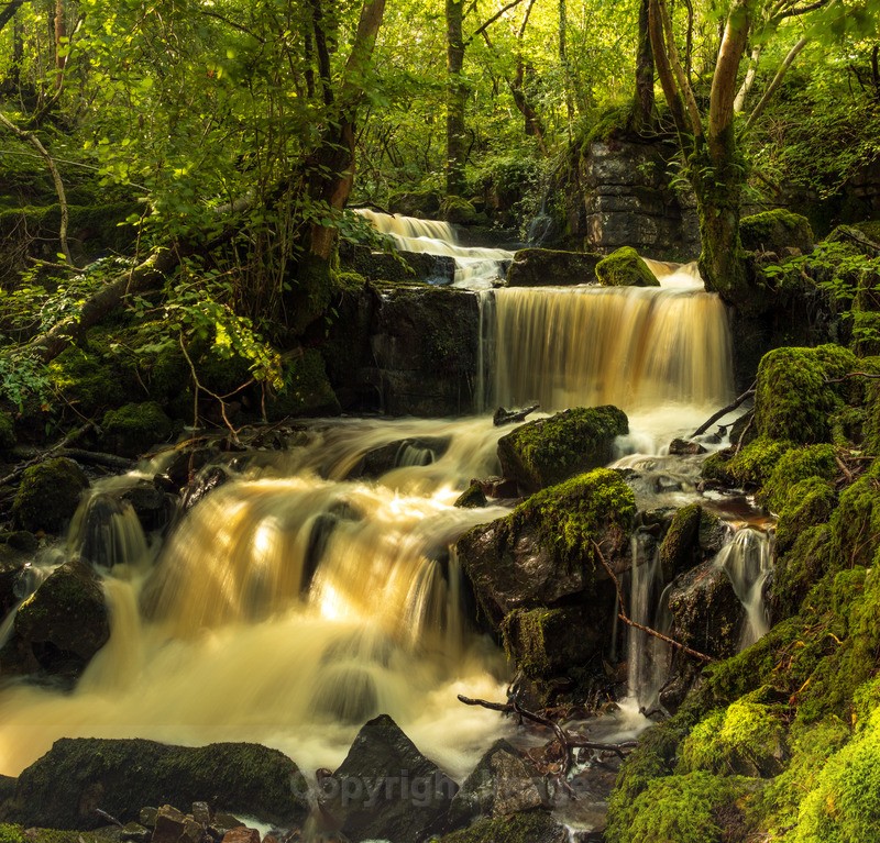 Flinter Gill - Distant Hills