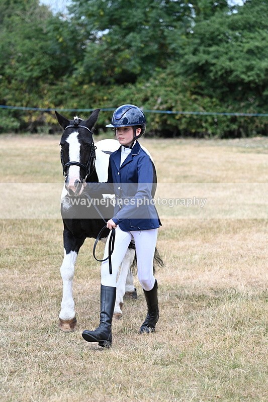 WJ7_1685 - Class 4 Prettiest Mare up to 14.2hh in hand