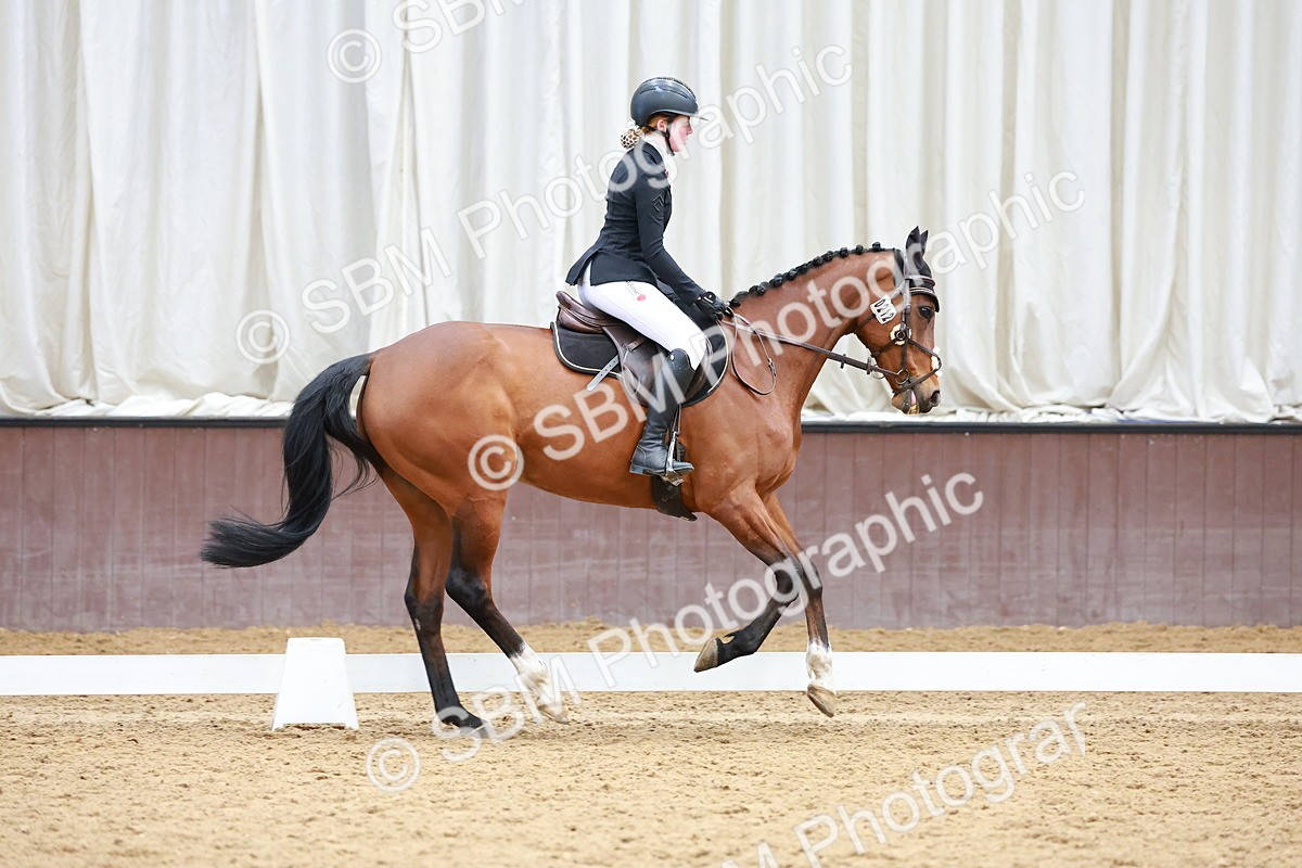 SBM_003341 - Class 11 - Novice 2