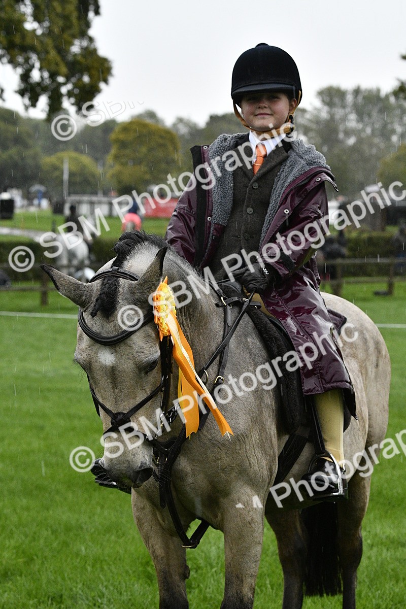 SBM_35599 - S30 - Nursery Stakes Working Hunter Pony