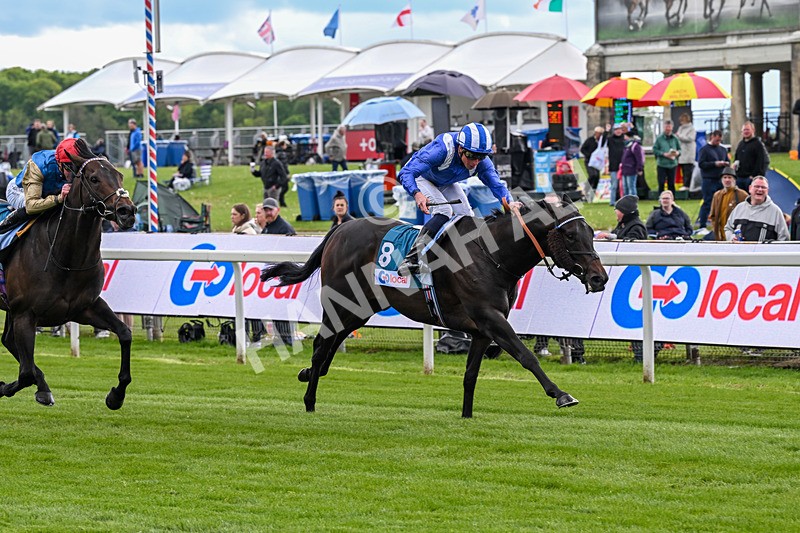 130526-Race 4-Elmonjed-2993 - Race 4 3.30pm Go Local Stores Minster Stakes