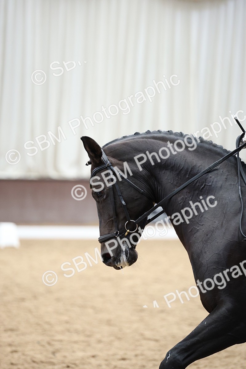 5K7A0228 - Novice 2