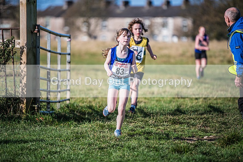 Cumbria XC-176 - Cumbria XC League Workington Saturday 26th October 2024