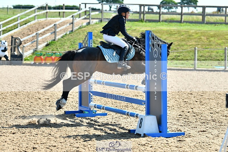 230625A-100816-03390 - Cls 13 Pony British Novice & 80cm Open