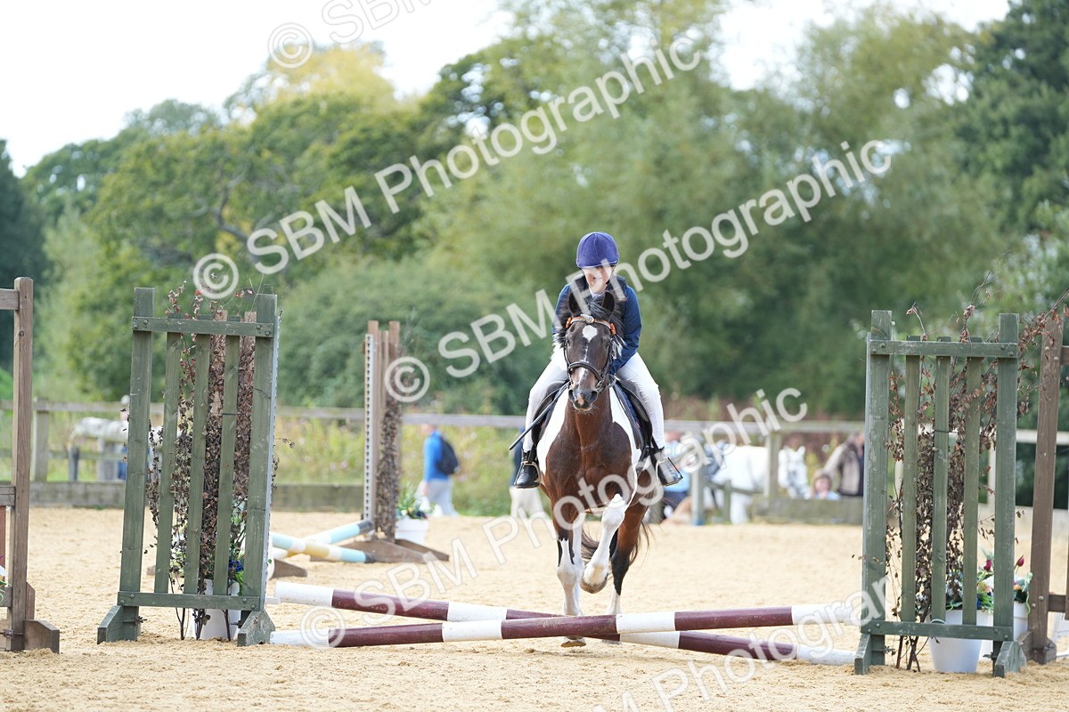SBM_64399 - J2 - Mini Tour Junior Pony 30cm Championship
