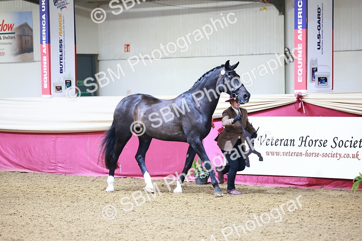 SBM_21658 - Class 901 - Supreme Final - IH  Diamond