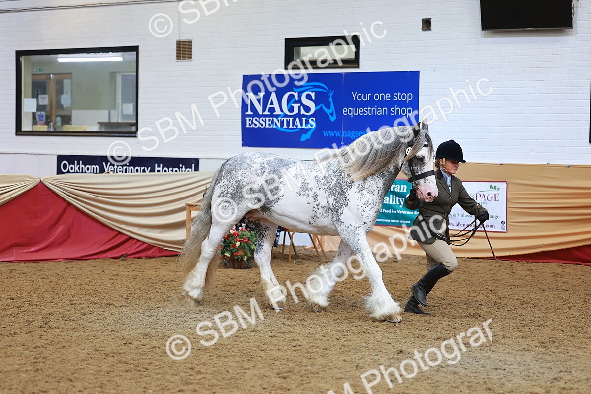 SBM_12624 - Class 103 - HOYS Veteran Qualifier - Ridden Pre Vet