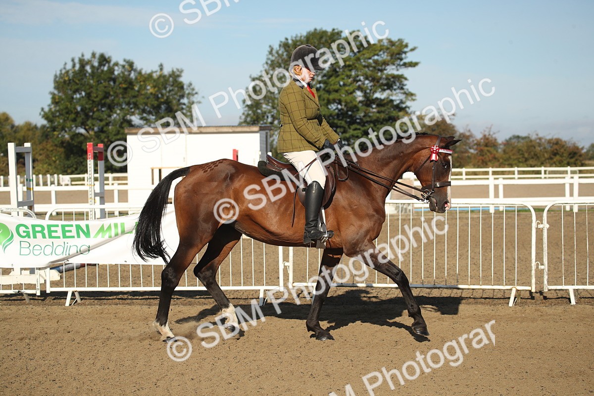 SBM_11266 - Class 501 -Riding Club Pony