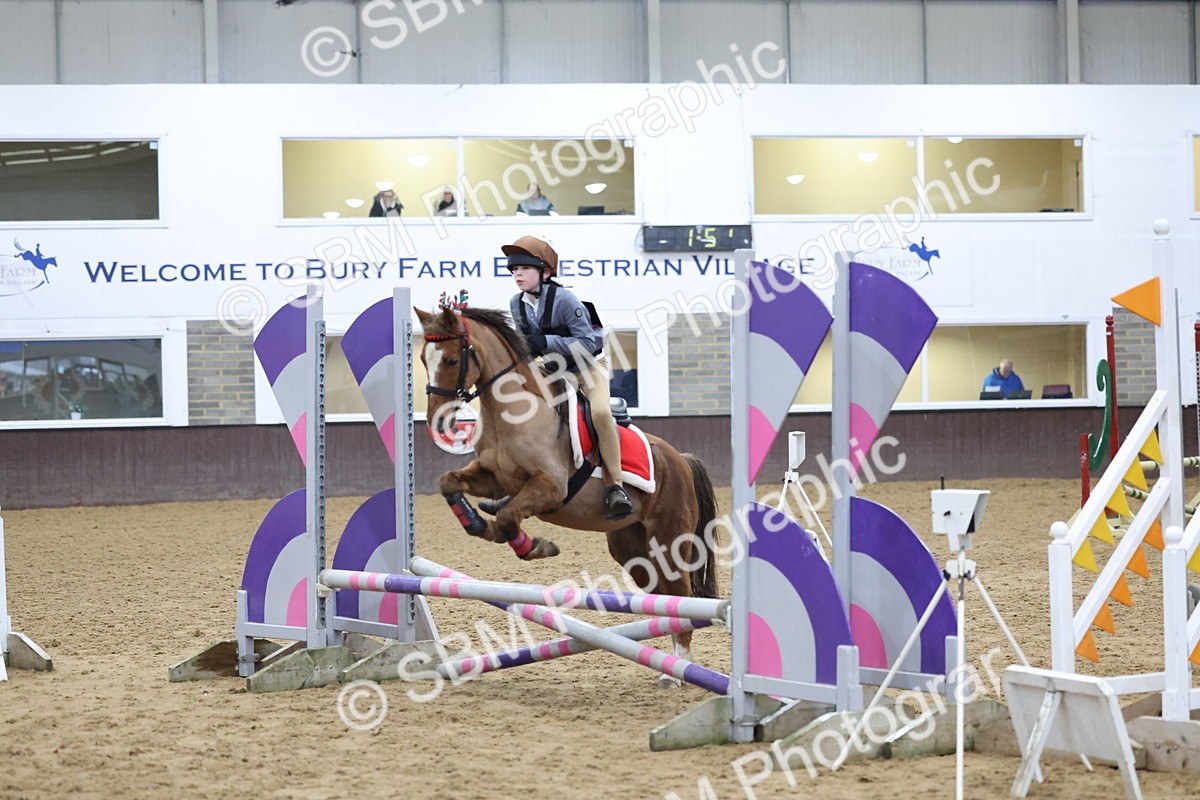 SBM_001091 - Class 3 - Christmas Tree Stakes - 60cm